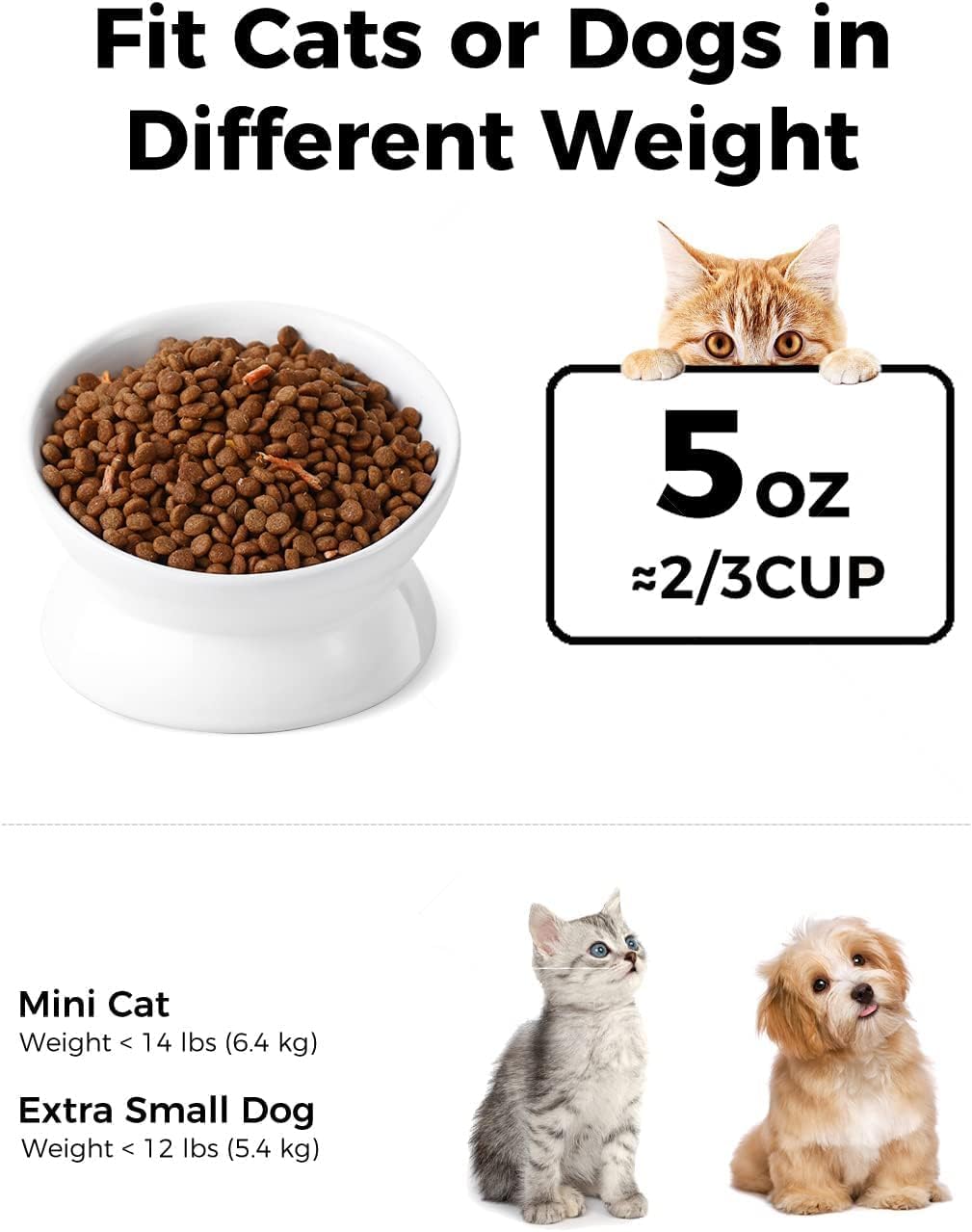 Elevate Mealtime: The LoeJan Anti-Vomiting Cat & Dog Bowls Review!