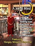  A Joyful Mind - Finding true happiness through the practice of meditation [OV]
