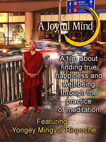 A Joyful Mind - Finding true happiness through the practice of meditation