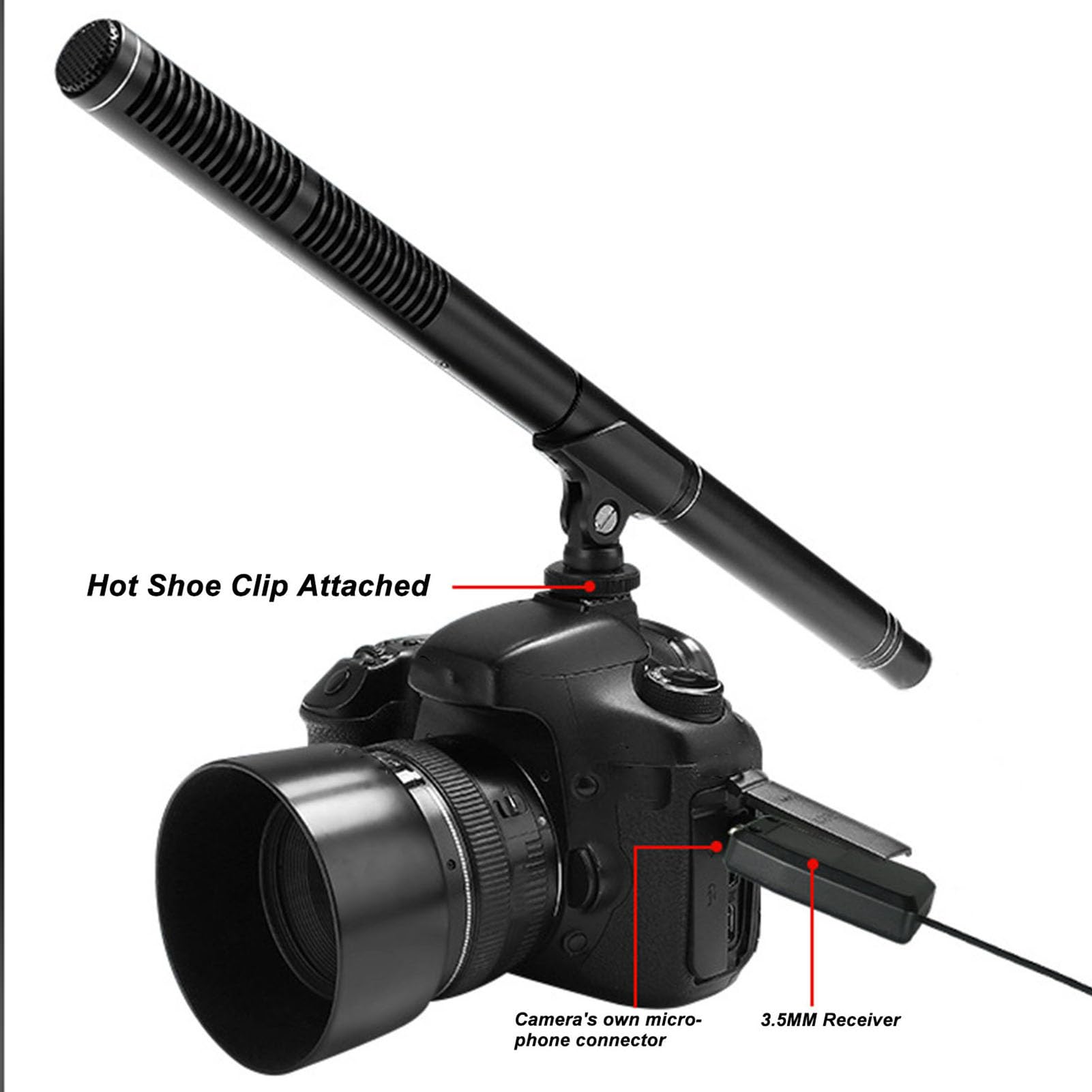 Haofy Microfono Wireless Cardioide per Fotocamera, Suono Chiaro fino a 30m con Tecnologia 2.4G, Compatibile con Smartphone, Tablet, PC per Interviste, Eventi All'aperto, Produzione Video