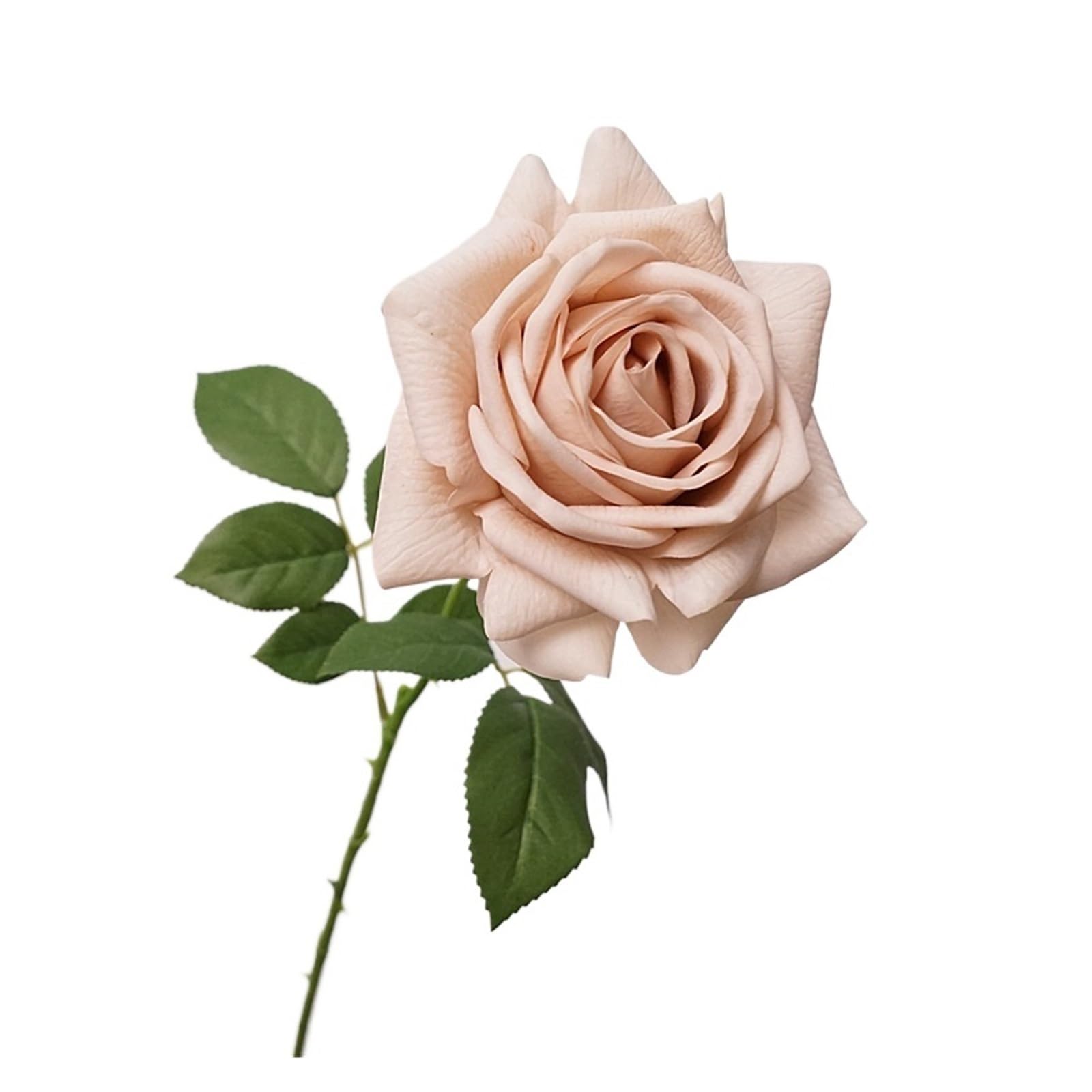 Casetlong 5Pcs Artificial Flower Mariage Decor Bouquet Wedding Event Party Arrangement Home Flore(Light coffee)