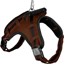 Coleira com Regulagem e Guia Peitoral Cachorro Grande Guia Doberman Pitbull Anti Puxão coleira cachorro (MARROM,M)