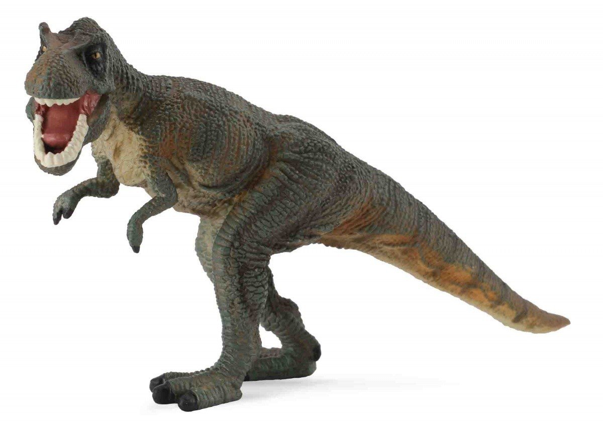 Prehistoric Life Tyrannosaurus Rex Toy Dinosaur Figure - Authentic Hand Painted Paleontologist Approved Model