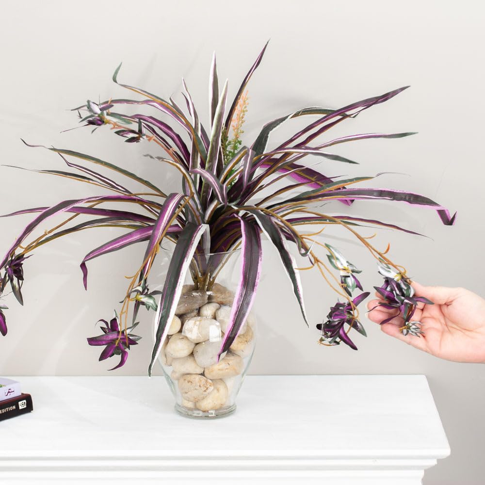 peace lily sensation 3-5 FT Sensation Peace Lily