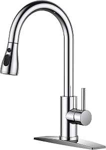 FORIOUS Kitchen Faucets with Pull Down Sprayer, Stainless Steel, Chrome