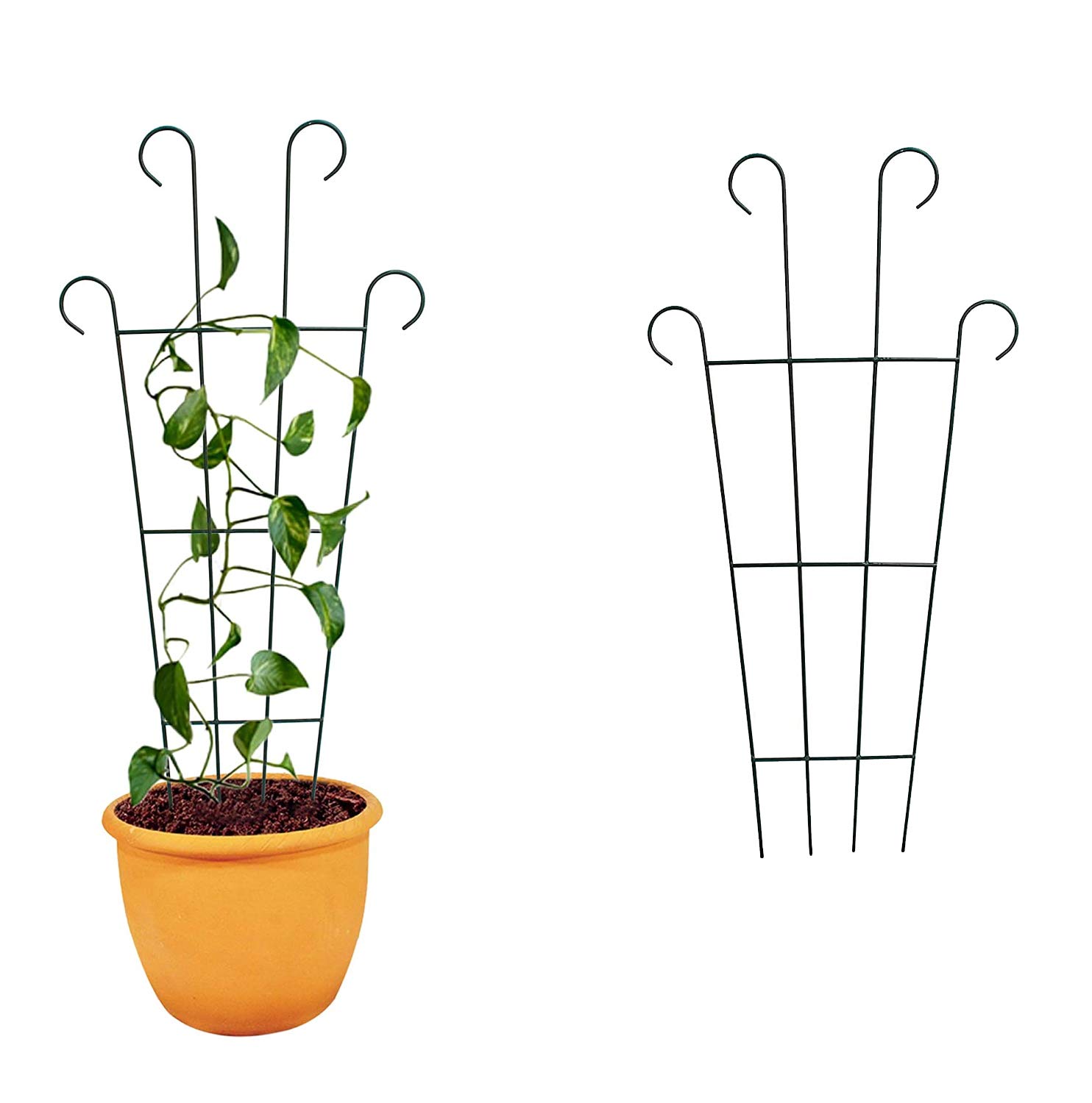 NAYAB 24 inch Garden Iron Trellis Rose Flower Supporter for Climbing Vines and Plants (Set of 2) (B0833CP5C2) Amazon Price History, Amazon Price Tracker