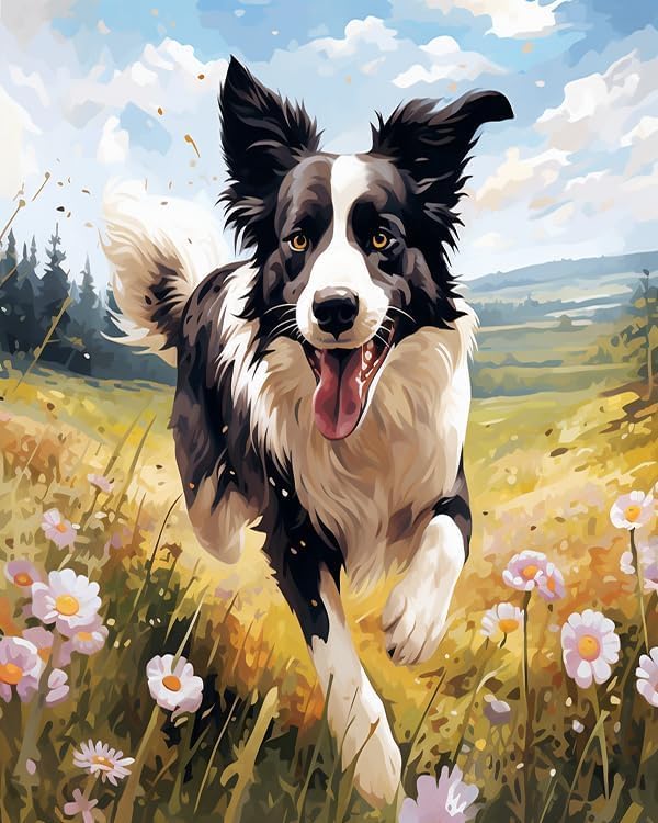 ZMHZMY Pintura al óleo por números para principiantes, Border Collie corriendo sobre la hierba, kits de pintura por números, pintura al óleo, lienzo