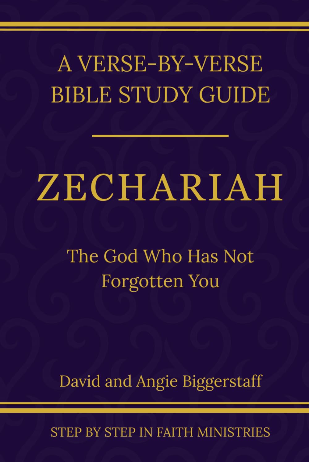 Zechariah: The God Who Has Not Forgotten You: A Verse-by-Verse Walkthrough (SSV Edition) (Step by Step In Faith Bible Study Series)
