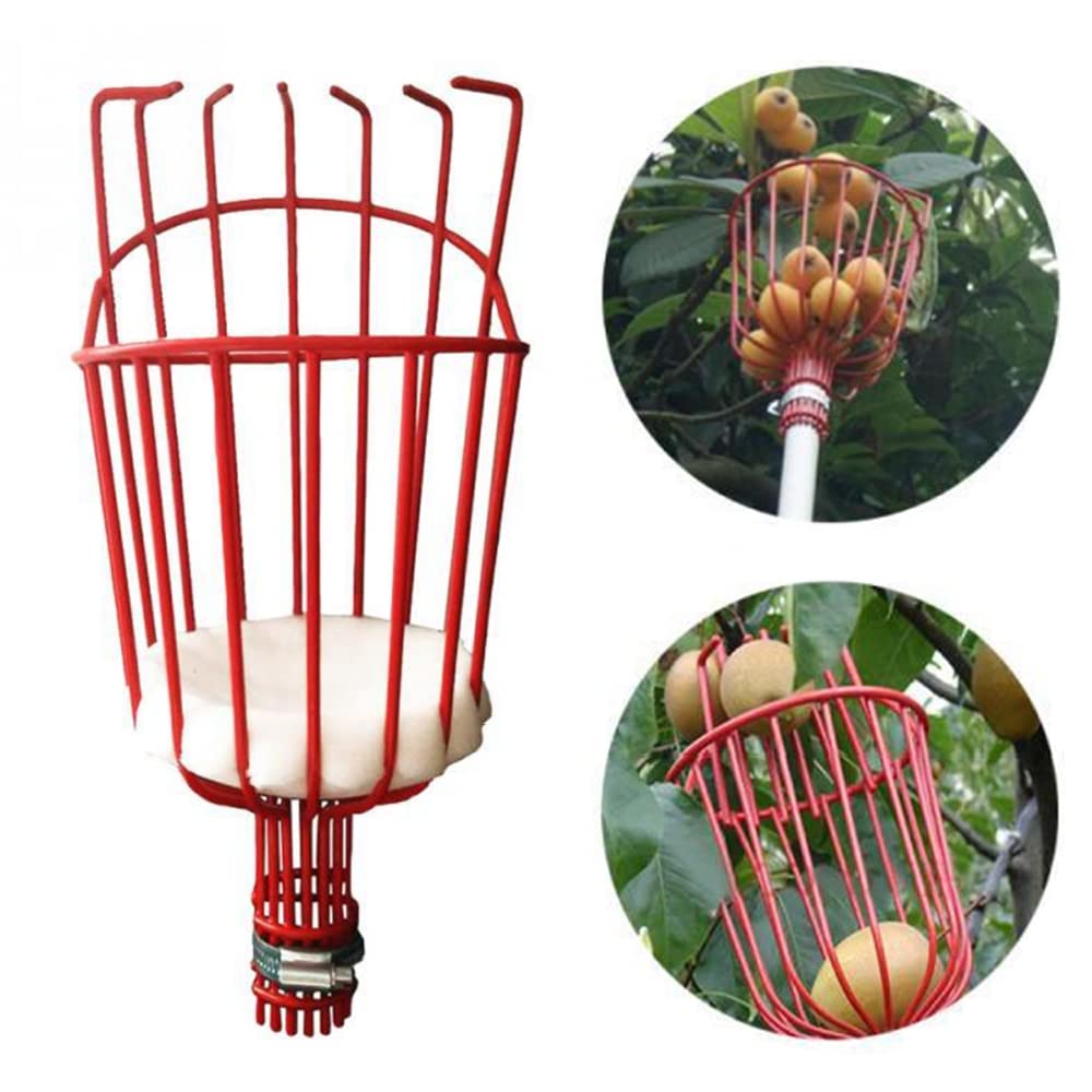 Recogedor de Frutas Telescopico 4.3M, Recoge Frutas Telescopico Acero Inoxidable, Recogedor Fruta Jardin, Recoge Frutas de Manzanas, Herramientas Recolectar de Higos Limón Cerezas Árbole Ø 145mm