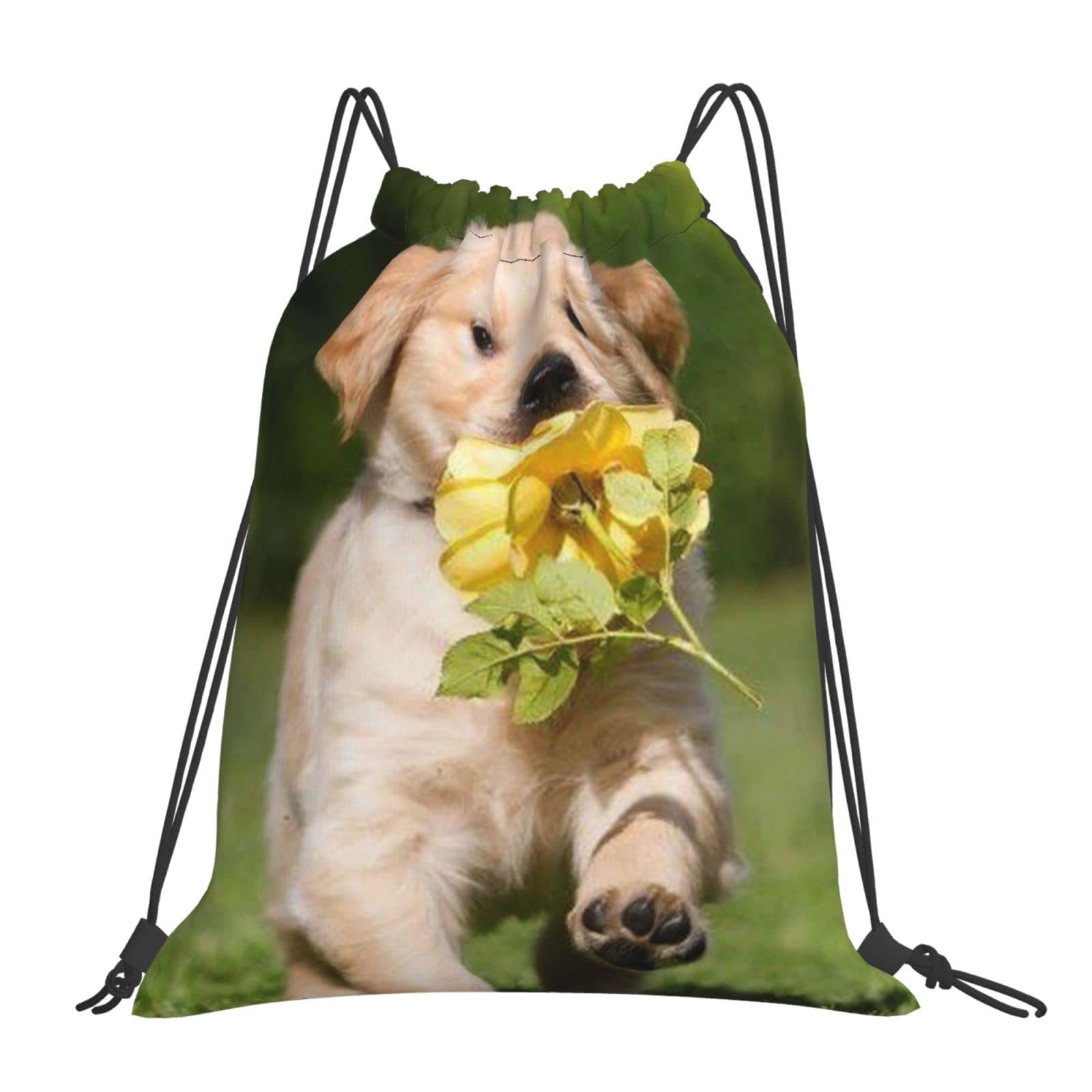 BAAROOMusic Note Drawstring Bags Gym Bag String Bag Unisex Suitable For Travel Sports Fitness-Cute Puppy Funny-One Size