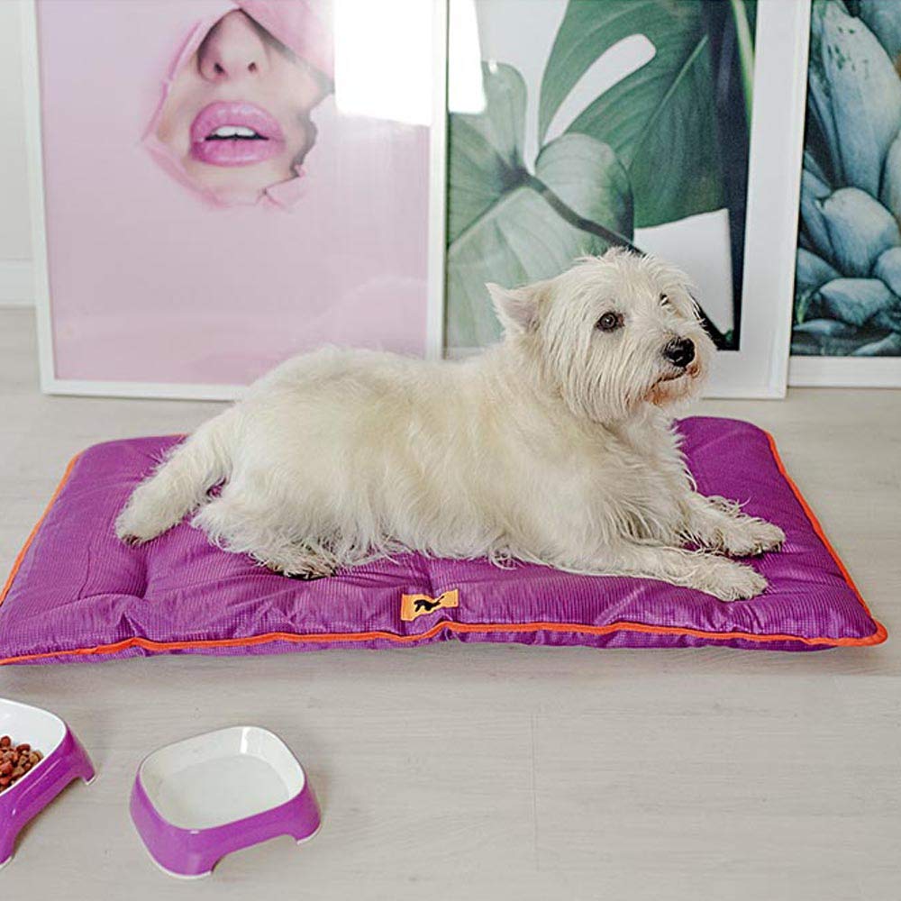 Ferplast Cuccia Cane e Gatto Antigraffio e Impermeabile, Tessuto Tecnico Resistente Tech, JOLLY Taglia Piccola, Materassino Lavabile a Mano a 30°, 65 x 48 x 3,5 cm, Marrone