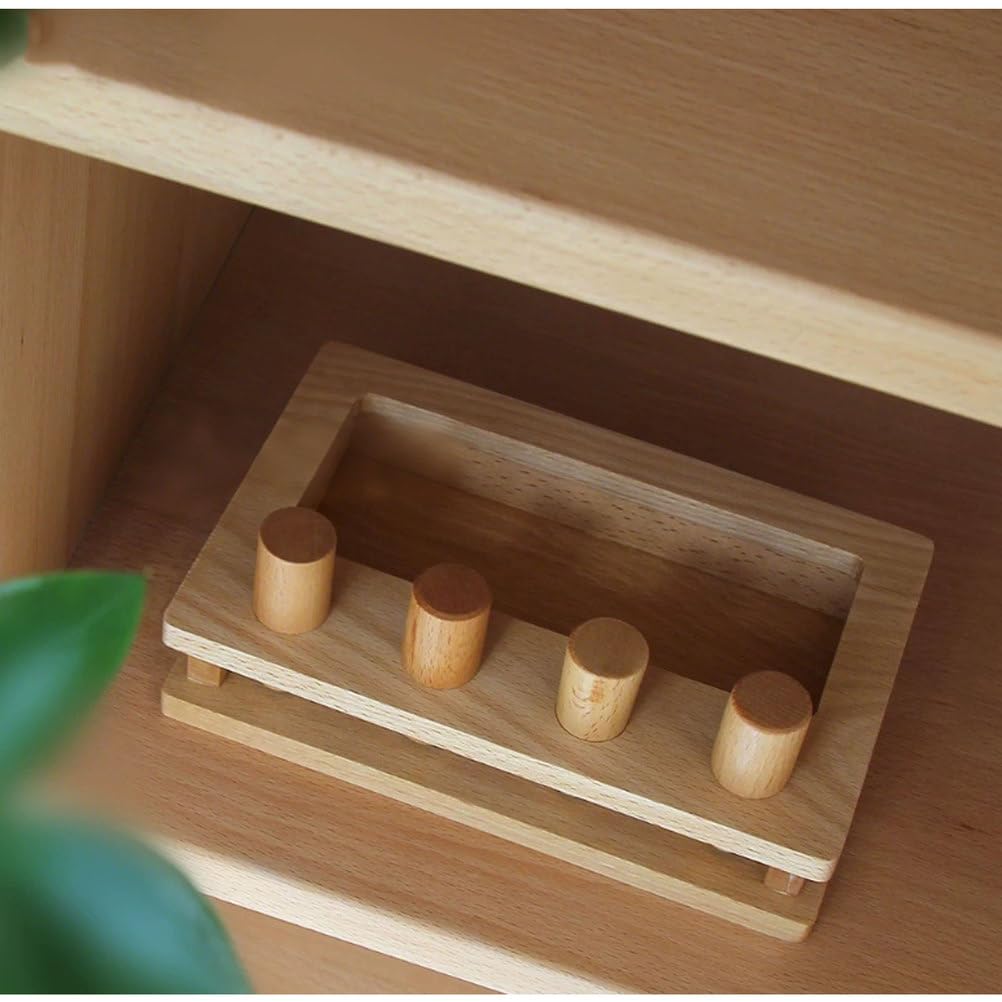 Montessori Brett- und Box-Einsetzspiel, Feinmotorik- und Hand-Auge-Koordination Spielzeug für Kleinkinder ab 12 Monaten