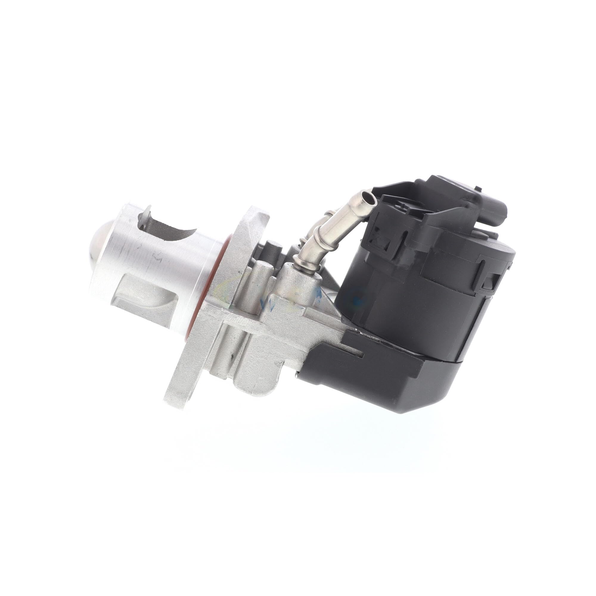 VEMO V20-63-0012 Valvola ricircolo gas scarico-EGR | Compatibile con: BMW 1, 1, 1, 1, 1 Cabriolet, 1 Coupe, 2 Coupe, 3, 3, 3 Cabriolet, 3 Coupe, 3 Gran Turismo, 3 Touring