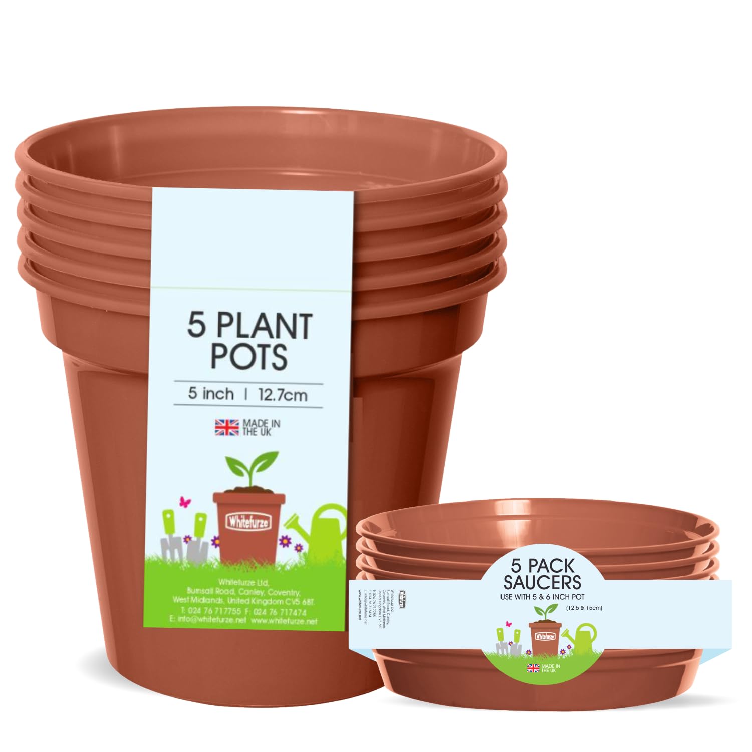 Whitefurze Plant, Pot & Saucer Set, 5 Inch/12.5 Centimeters