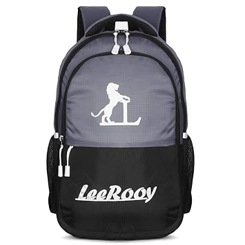 LeeRooy Canvas 15.20 Inches Latest Style 30 L Backpack for School, College, Laptop, Office, Travel (Grey)