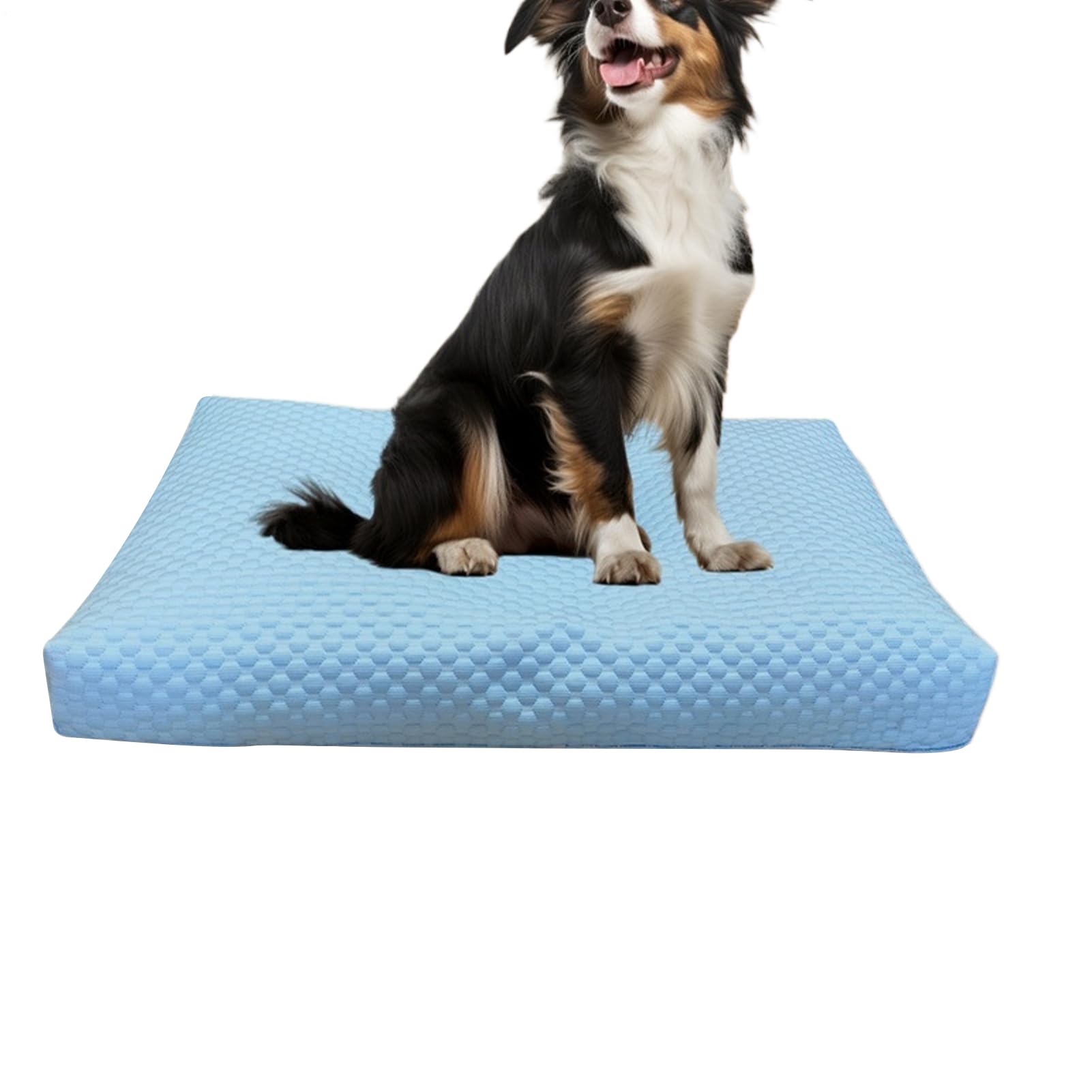 Réduction de chaleur pour parc cage chenil avec cette housse pour chien