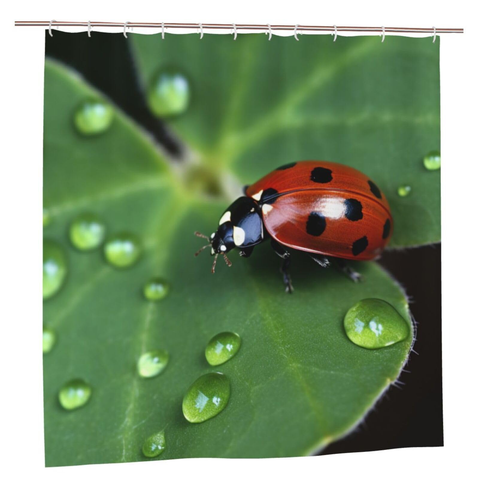 BWWHCCTI Sitting green three leaf insect Printed Shower Curtain With 12 Plastic Hooks Opaque Quick Drying Waterproof Shower Curtains Sets For Bathroom 183x183 CM