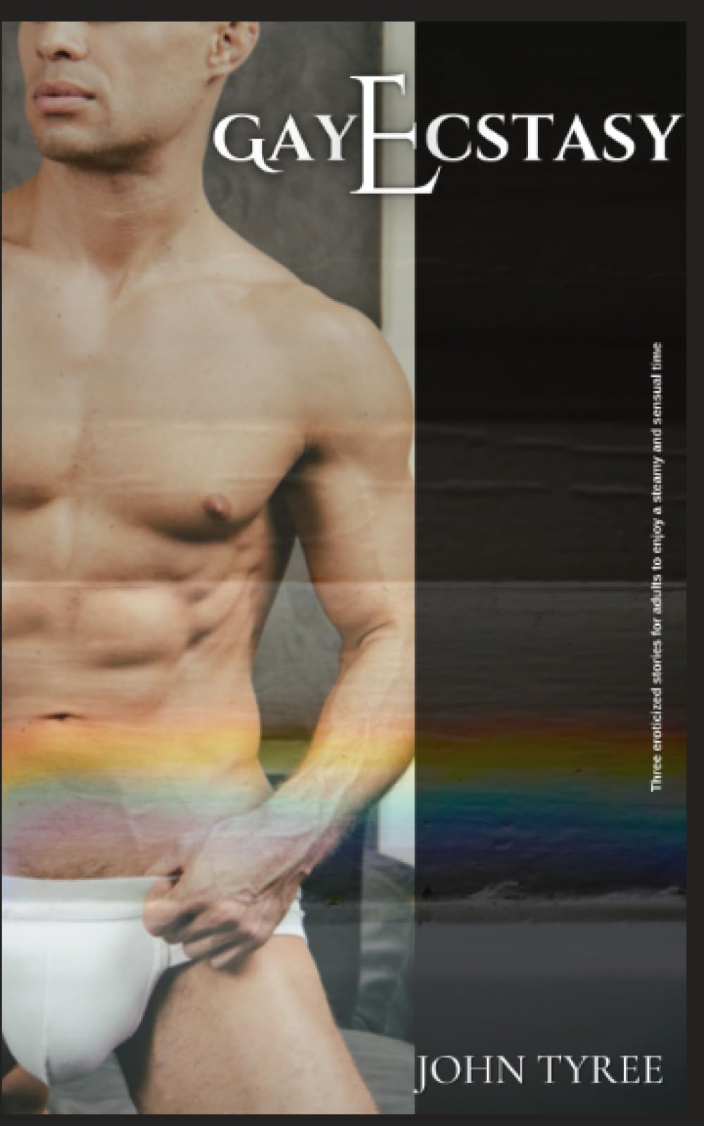 GayEcstasy: Three eroticized stories for adults to enjoy a steamy and sensual time