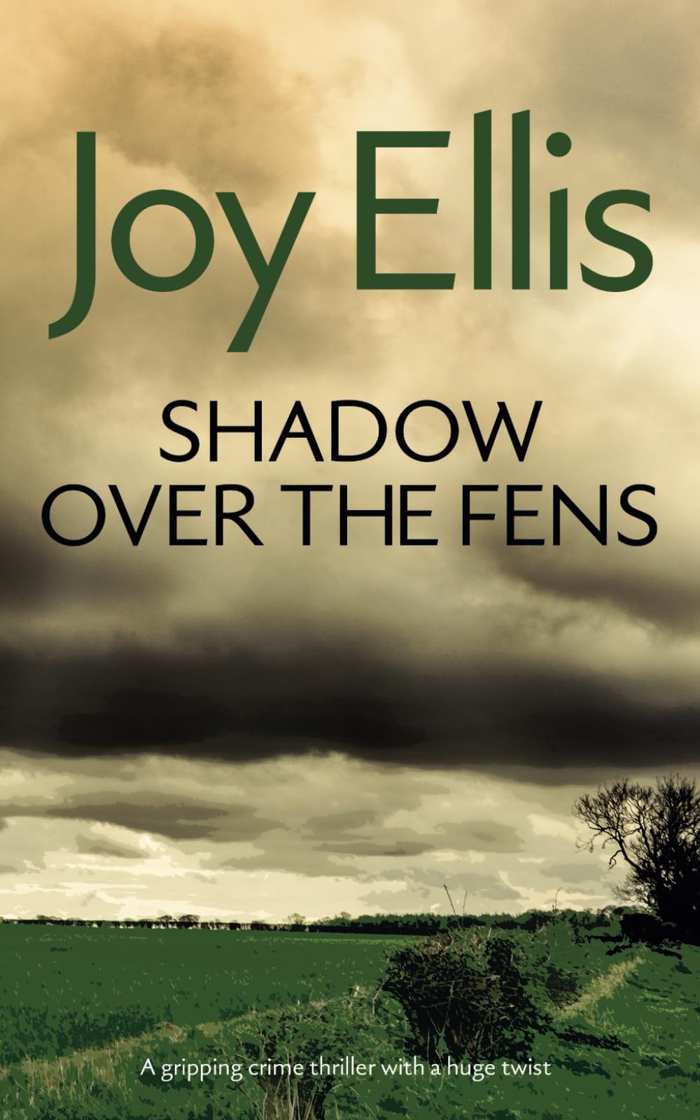 SHADOW OVER THE FENS a gripping crime thriller with a huge twist (Detective Nikki Galena Mysteries)