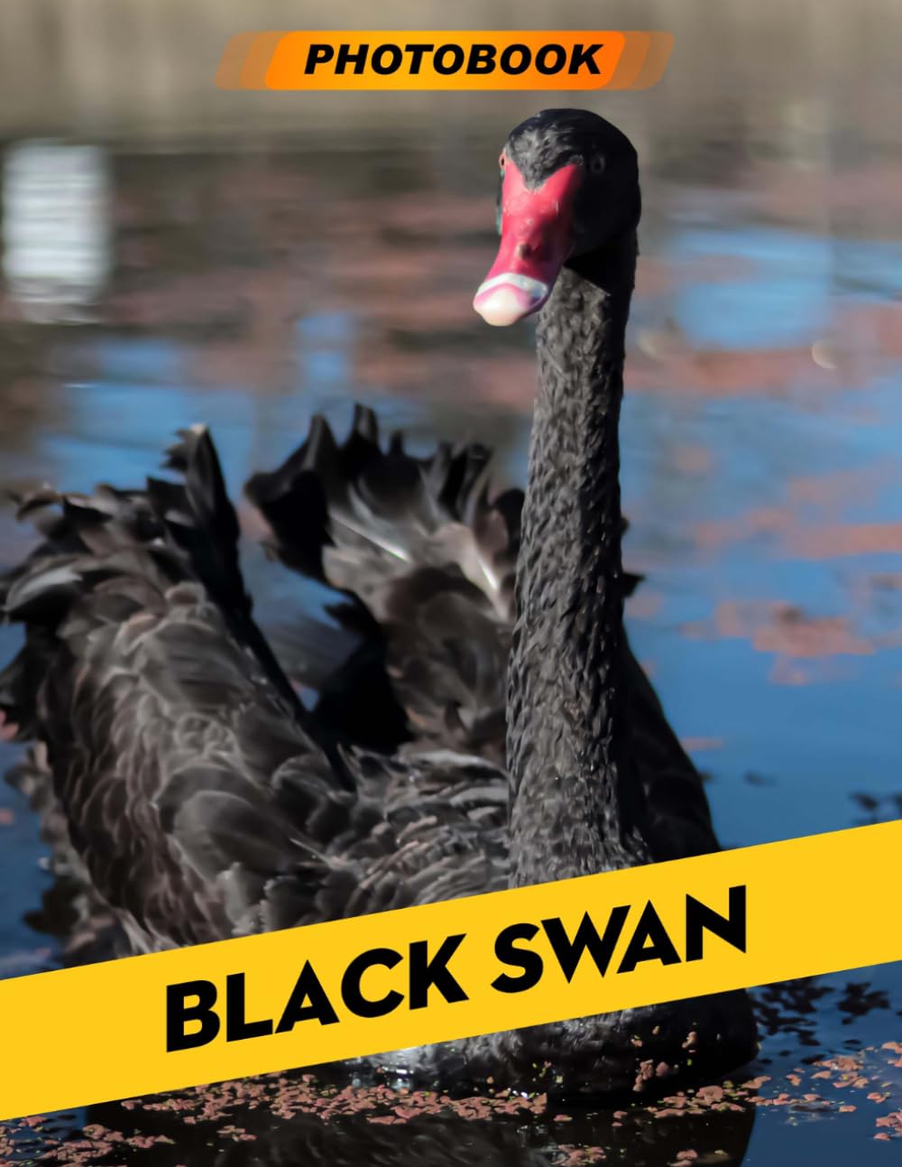 Black Swan Photo Book: Elegant Bird Photography Showcasing Beautiful Black Swans In Graceful and Serene Water Settings For Aesthetic Homes And Bird Enthusiasts
