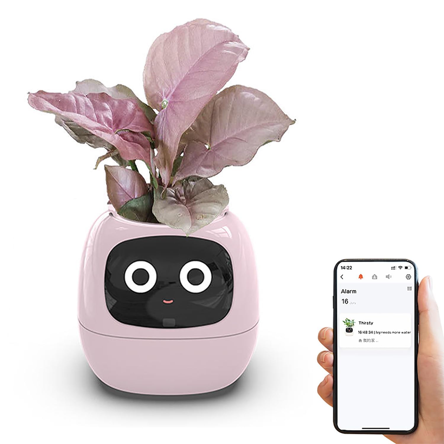 Pot de fleurs intelligent à expressions le cadeau idéal de salon