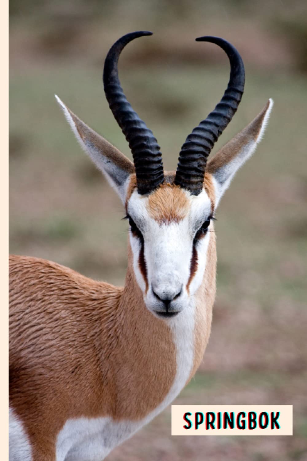 Yenx D16 PublishingSpringbok: Composition Notebook For Springbok Lovers , Springbok Lined Journal ,6x9 Inches , 110 Pages ,Springbok Diary