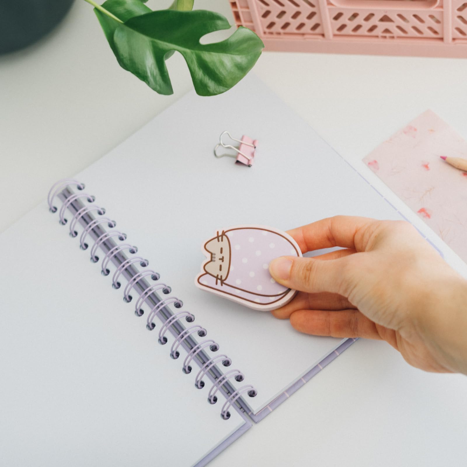 Grupo Erik: Gomme da cancellare Pusheen Moments | Set da 2 gomme jumbo da cancellare, Gomme da cancellare per bambini, Cancelleria Pusheen, Pusheen Gadget