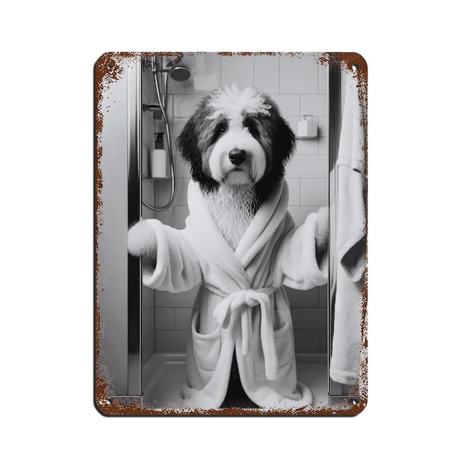 Lxwnze 30L X 40W Cm Bernedoodle Bathroom Art Poster Tin Sign Vintage Metal Pub Club Cafe Bar Home Wall Art Decoration Poster Retro 12X16inch(30X40cm)