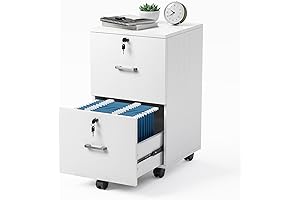 VINGLI 2 Drawer White File Cabinet with Lock