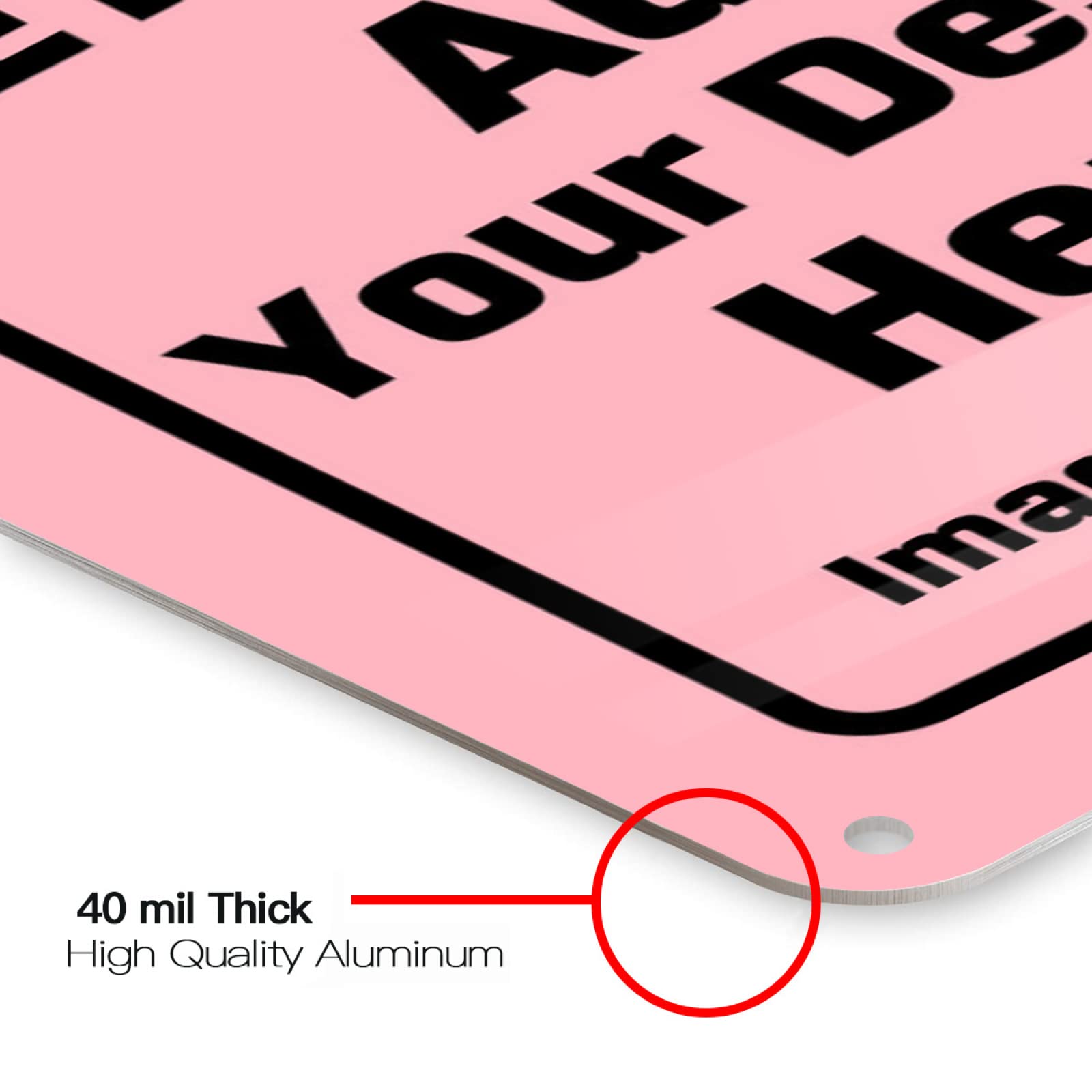 Primeros Pasos Con El Panel. La Elección De Tipografías Y Colores