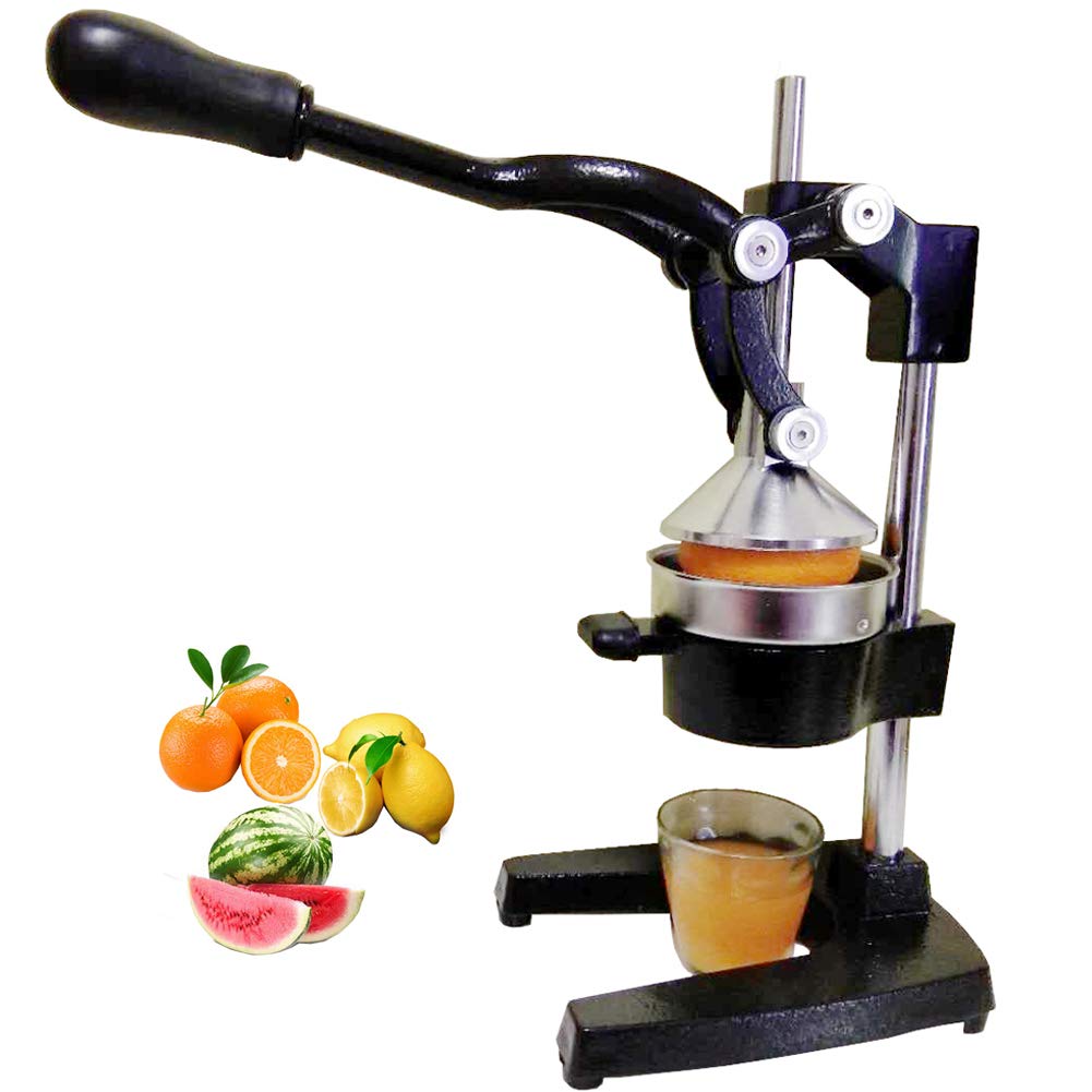 Amazon | HCTOOL 果汁しぼり器 ハンドブレンダー スロー ハンド