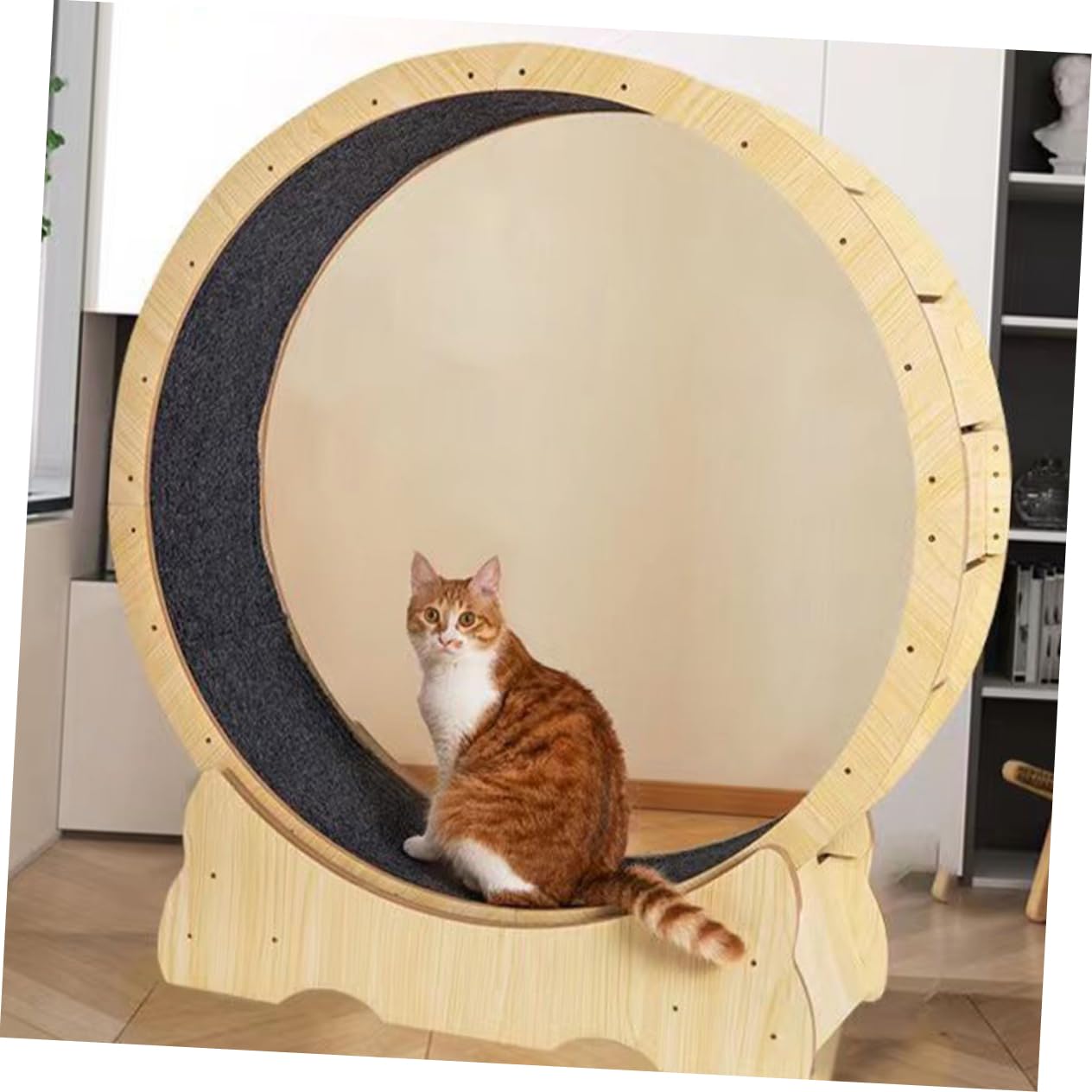 Amazon | CALLARON 猫用運動ホイールマット 滑り止め加工のスクラッチ