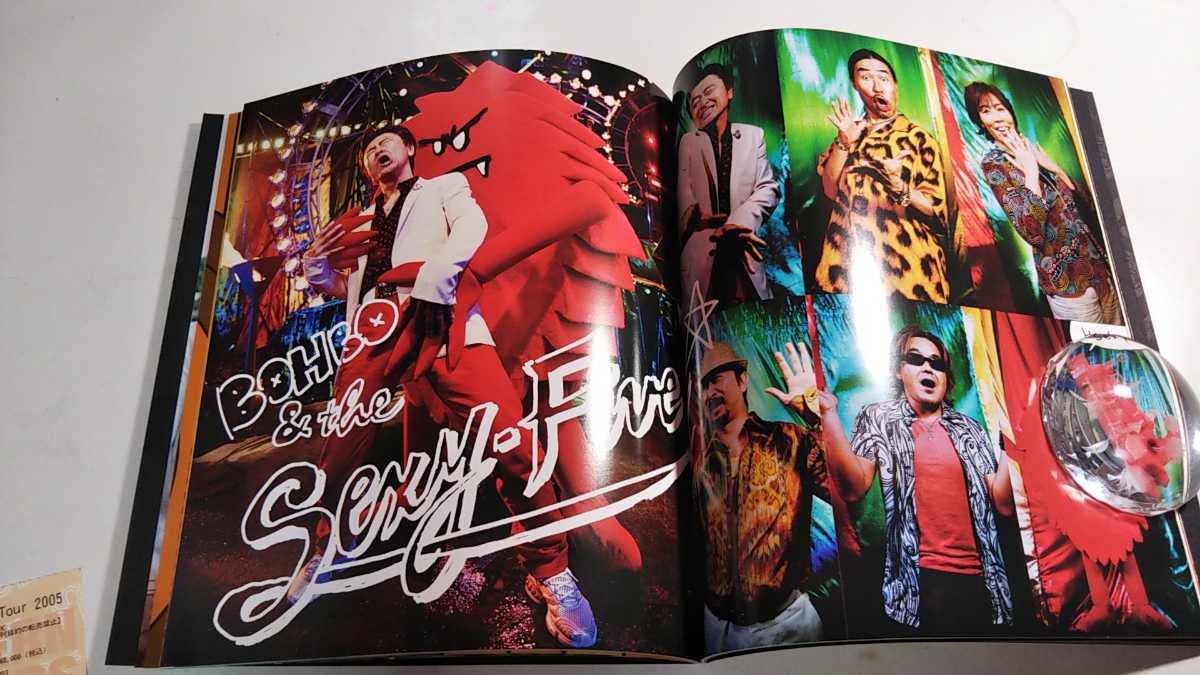 サザンオールスターズコンサートパンフレット サザンオールスターズ コンサートパンフレット - メルカリ
