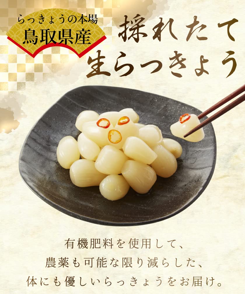 Amazon.co.jp: 減農薬 鳥取 根付 らっきょう 4.5キロ 玉系 らくだ系