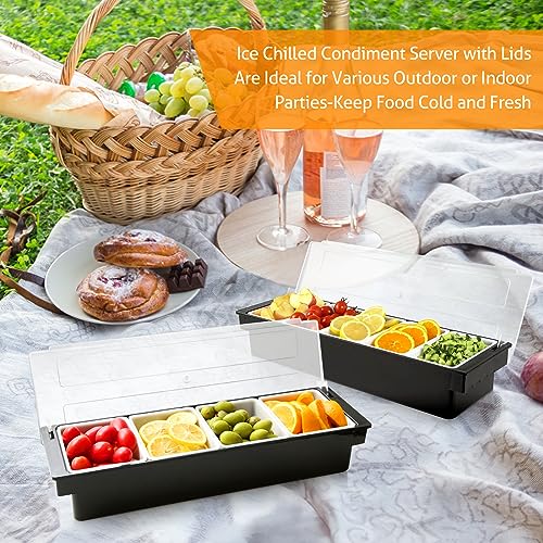 image for WICHEMI Condiment Container with Lid Ice Chilled Condiment Server with