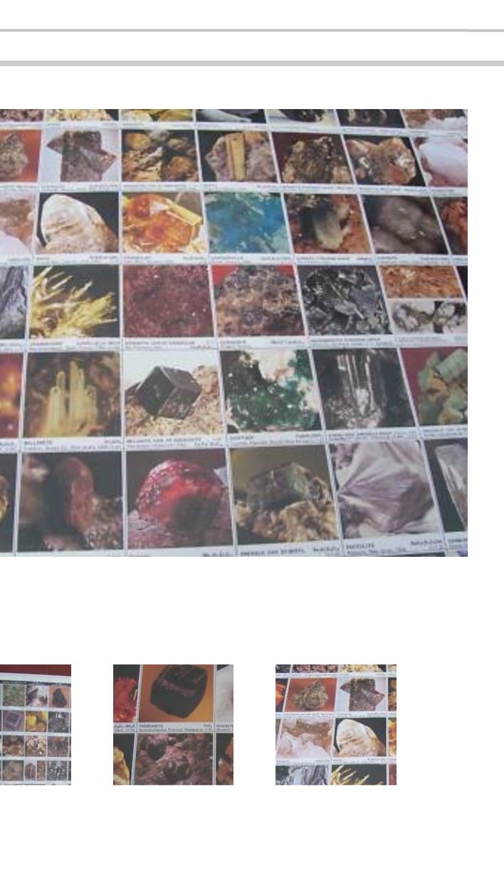 Minerals of the World