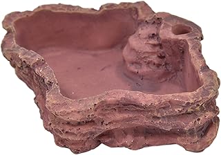 Tigela de Alimentação para Répteis Aranha Imitação de Casca Tigela de Comida Lagarto Aquário Tartaruga Serpente Réptil Tigela de Comida Prato Lguana Prato Prato de água