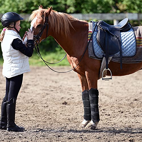 World-Bio Horse Ice Leg Wraps Set Of 2, Ice Pack Cooling Wrap For Horse Injuries, Therapy Full Leg Ice Boot Cold Pack With Flexible Straps For Hock, Ankle, Knee, Legs And Hooves, 16.9'' X 16.1'' Black #TOP4