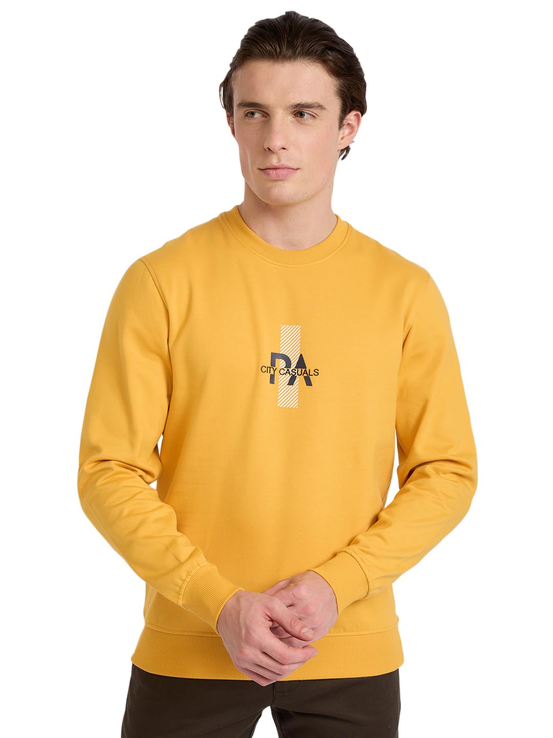 park avenue Men Full Sleeve Slim Fit Print Pattern Cotton Polyester Blend Regular Neck Regular Neck Casual Sweatshirt-picture-34
