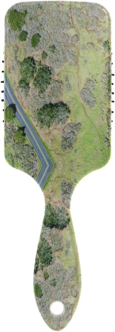 Aerial View Of Country Road Hair Brush Massage Scalp Plastic Hairbrush Detangler Vented Nylon Pins Air Cushion Comb Anti Static & Frizz, Touch Paddle Brush for Thick Curly Wet Dry Hair