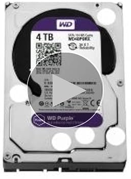 Western Digital WD40PURX viola : Amazon.it: Informatica