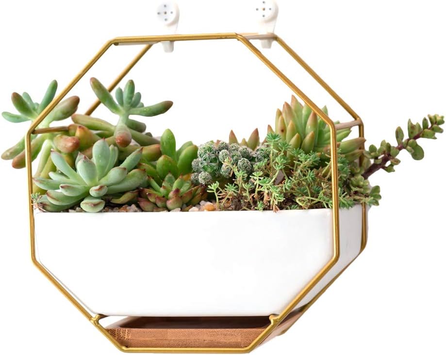 Hanging Geometric Wall Planter,6.89 Inch Modern Wall-Mounted Container Freestanding Desk Succulent Planter/Cactus Flower Pot for Succulents, Mini Cactus