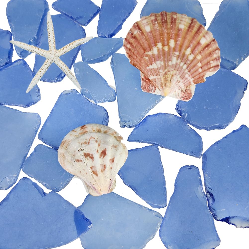 G&S homedeko Dark Blue Mix Sea Glass 10oz Bulk Mix with 2 Pieces Seashells - Genuine Beach Tumbled Glass Pieces for Crafts, Vase Filler, Coastal Home Decor, DIY Projects,Gift Filling