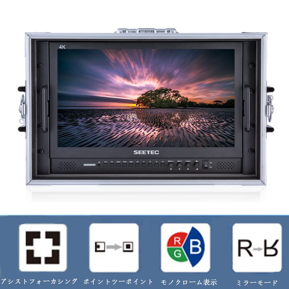 Amazon.co.jp: SEETEC P173-9HSD-CO 17.3 インチ プレイバックモニター