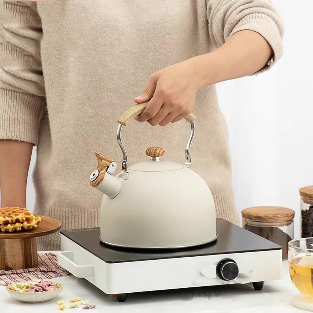 Bollitore Domestico in Acciaio Inossidabile da 2,5 Litri, Bollitore A Fischietto con Manico Antiscottatura, Caffettiera Portatile per Uso Domestico, Bollitore Elegante