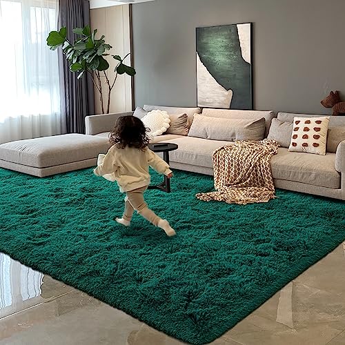 HOMORE Teal Green Rug 6x9 Feet, Large Fluffy Area Rugs for Living Room Modern Shag Rugs for Bedroom, Super Soft and Comfy Teal Carpet, Cute Carpets for Kids Nursery Girls Home