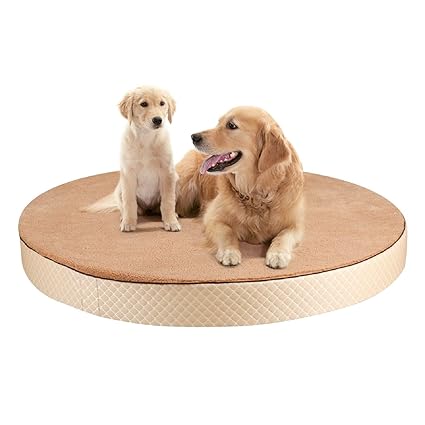 Metron Orthopeadic Pet Bed for Large Dogs | Round Shape | Camel Color | Size Dia 48? Thickness 5? inches | Anti Skid Bottom | Washable Removable Outer Special Sherpa Fabric Cover | Pack of 1
