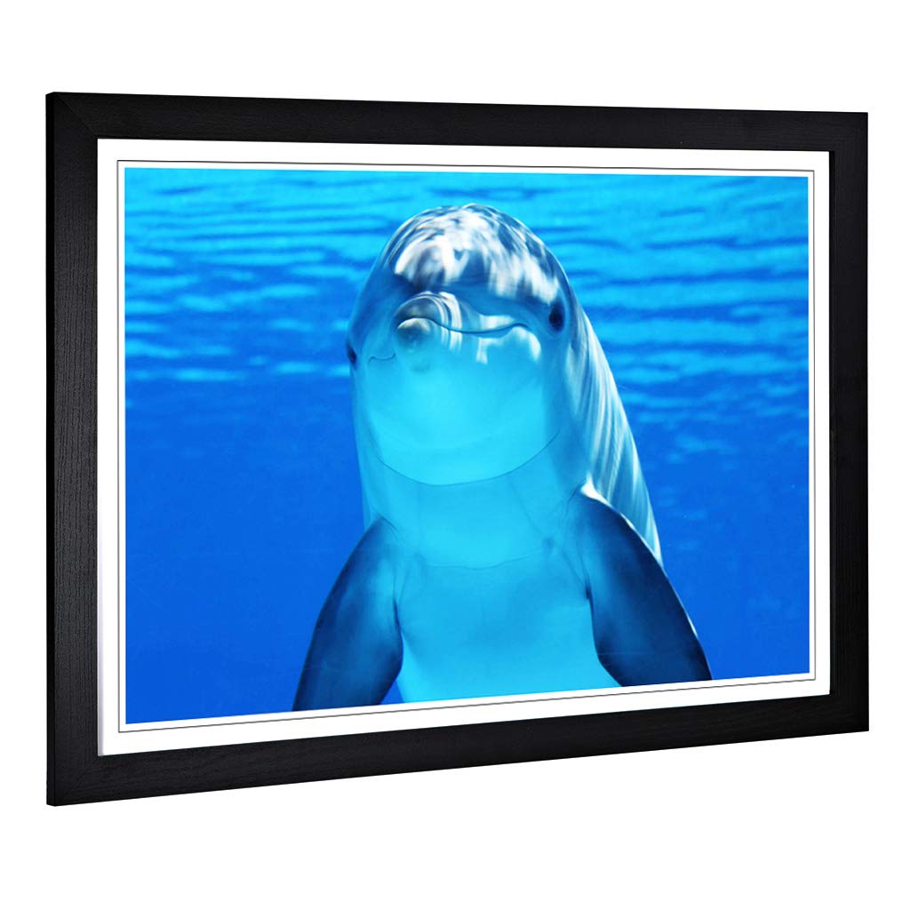 Big Box Art Framed Print of Dolphin (3) Design | Wall Art Picture | Home Decor for Kitchen, Living, Dining Room, Lounge, Bedroom, Hallway, Office, Black, A2 / 24.5x18 Inch / 62x45cm