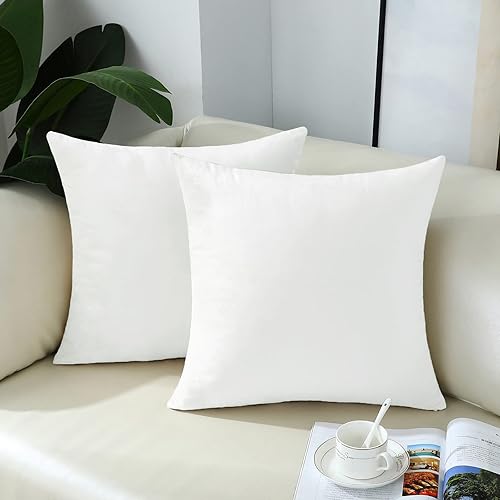 mixeoo Juego de 2 fundas de almohada cómodas de color blanco marfil, cuadradas, de terciopelo grueso sólido, súper suaves, decoración del hogar para