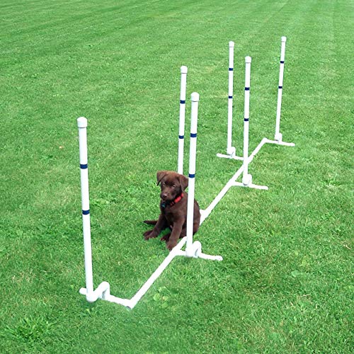 Affordable Agility Channel Weave 6 Pole Set